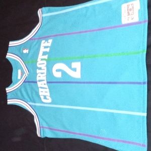 Mitchell and Ness Hardwood Classics Charlotte Hornets #2 Larry Johnson Swingman